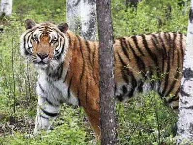 回眸最初 第131页