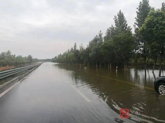 关于508国道的最新动态报道与文章概述