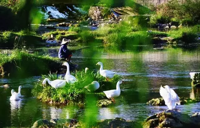 贵州去避暑,贵州去避暑，科学解析微型版