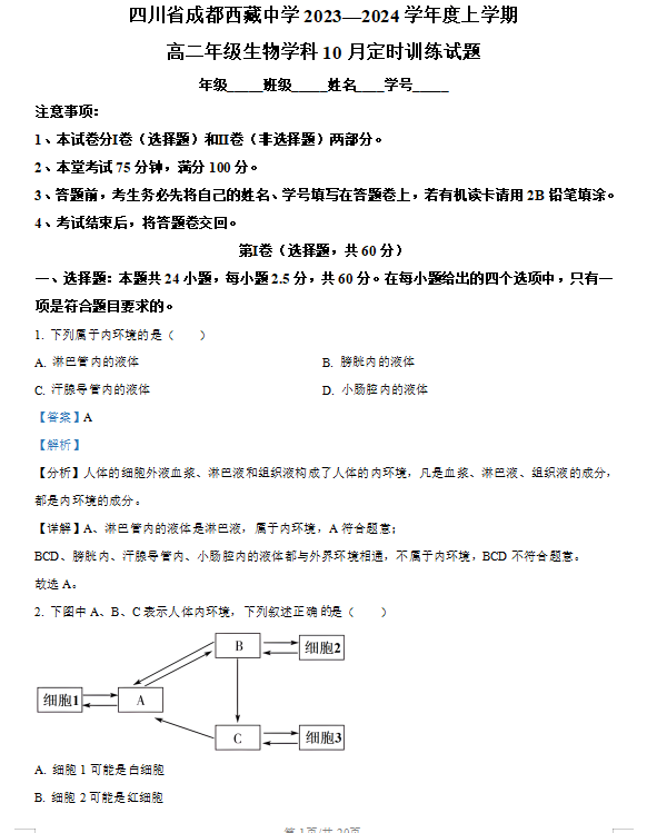 贵州龟山洞深度解读，定义与解答