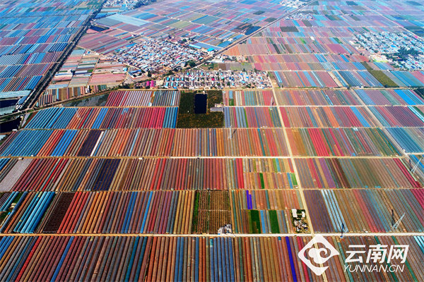 贵州至洪江的安全设计解析方案_复古版全新呈现