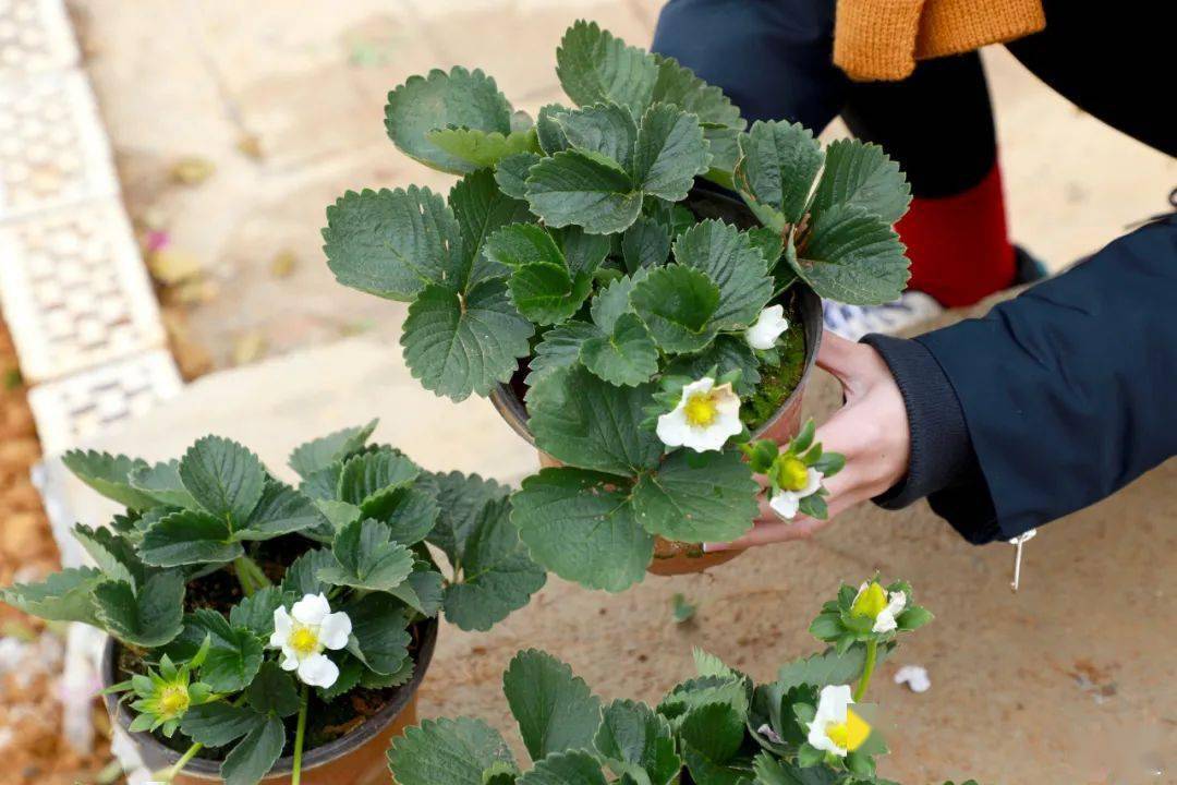 敦煌旅游局官网首页发布最新动态方案_set58.50.37