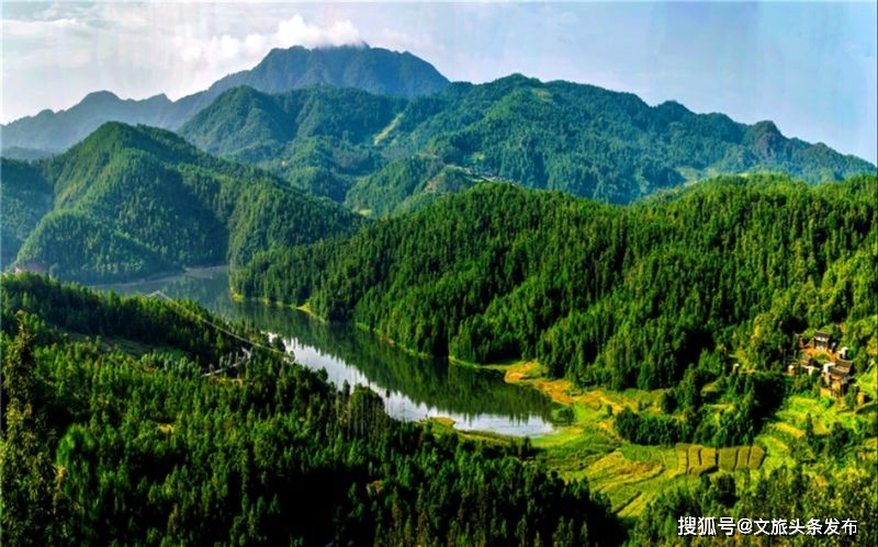 哀牢山珍稀野生动物拍摄成果与高效设计计划揭秘