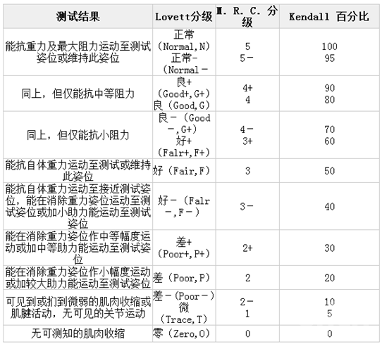 最新肌力分级标准,一、概述