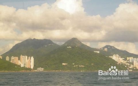 花开无言 第121页