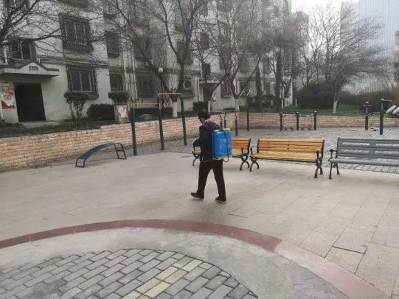 雅荷国际最新动态,雅荷国际概况