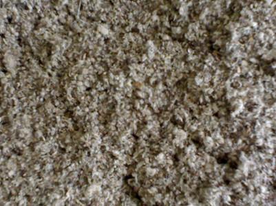 棉籽壳最新报价,棉籽壳最新报价及市场分析