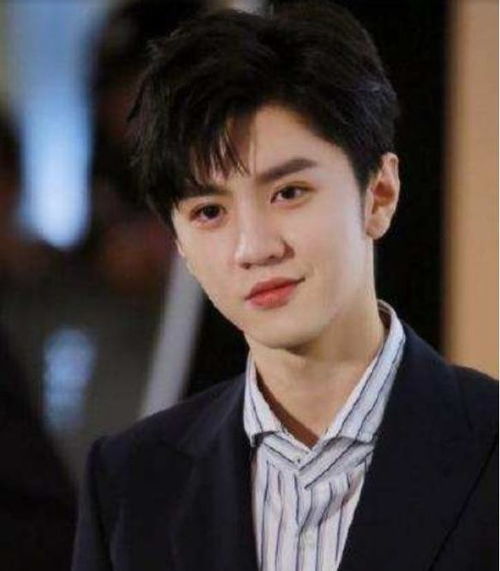 最新同志网络剧,一、背景介绍