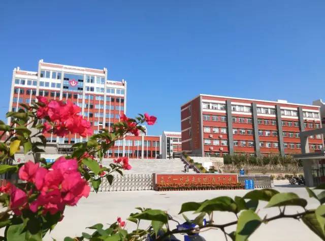 崖柏最新新闻,一、崖柏产业概述