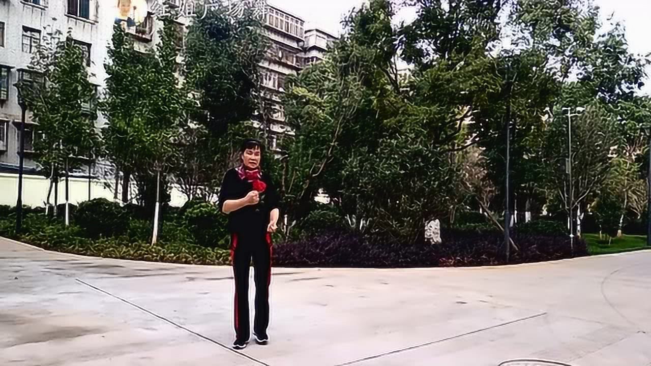 红姐最新广场舞,红姐的最新广场舞