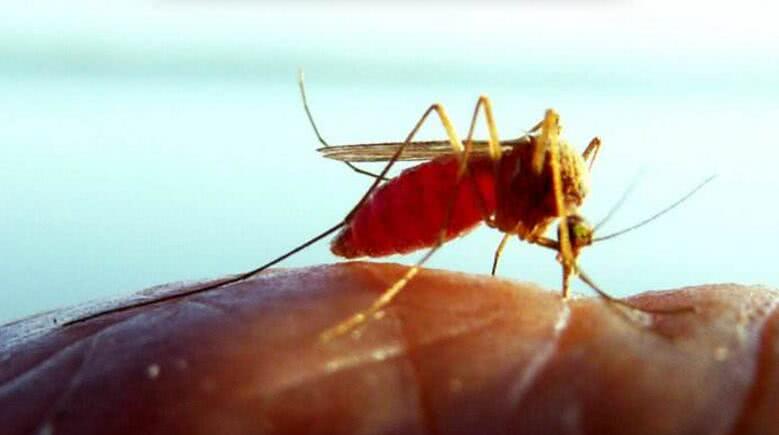 2024年10月25日 第49页