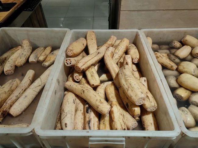 河南莲藕最新市场价格更新，25日行情概述