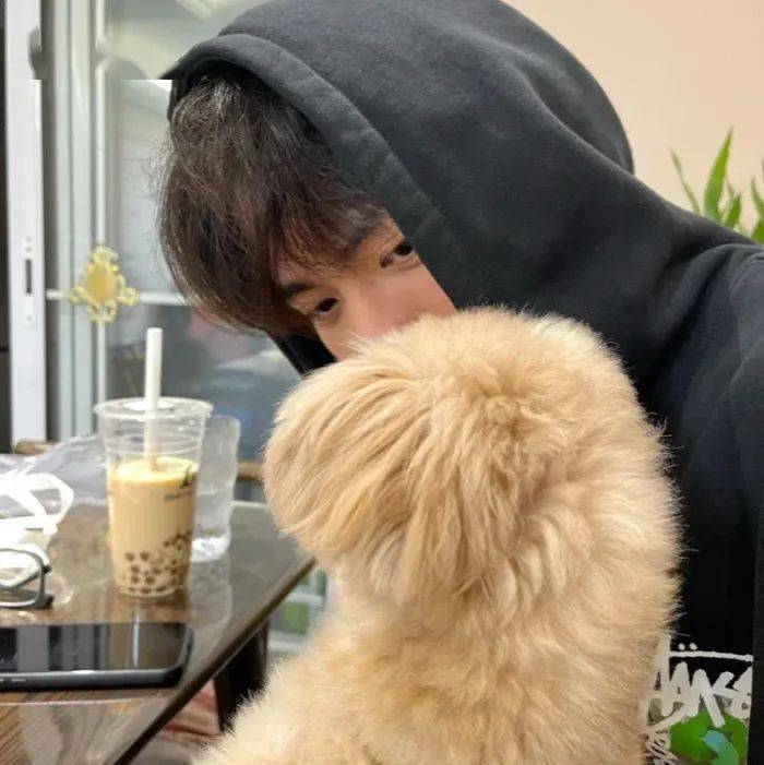 山东格惠犬吧最新资讯，山东格惠犬动态更新