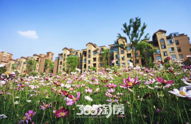 浅笑轻吟梦一曲 第117页