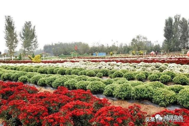 汉中市最新疫情情况更新