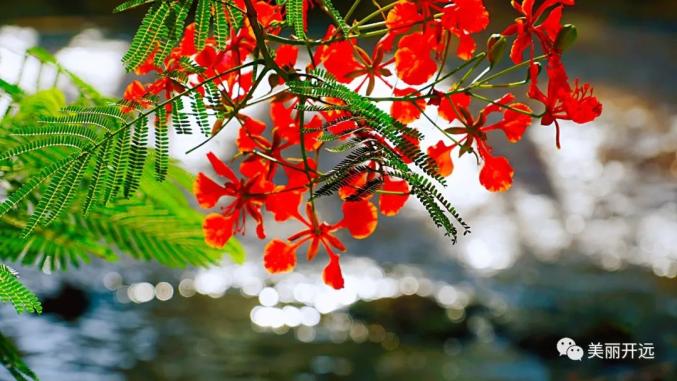 杰特广场最新动态，新消息一览