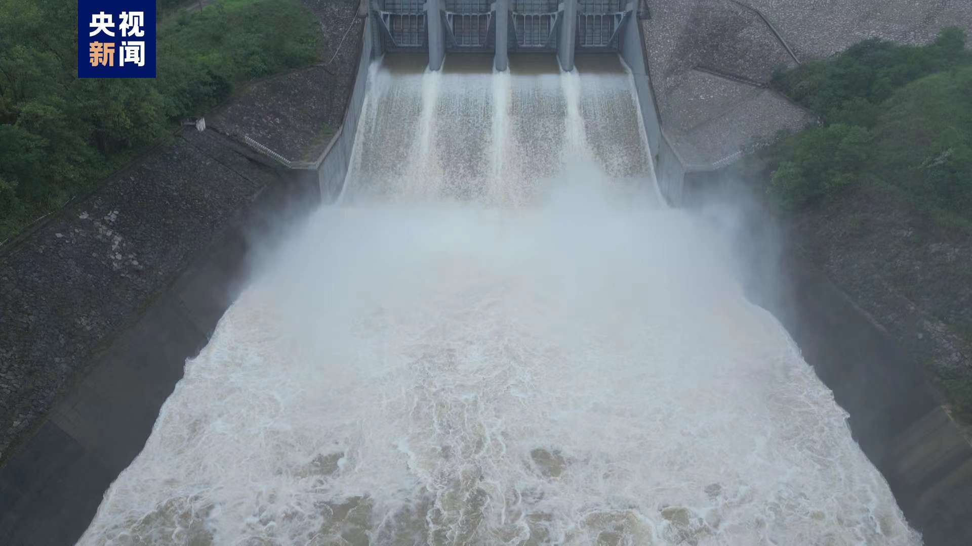 2024年10月26日 第45页