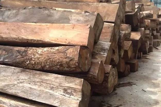 非洲花梨木最新价格及独特性质解析