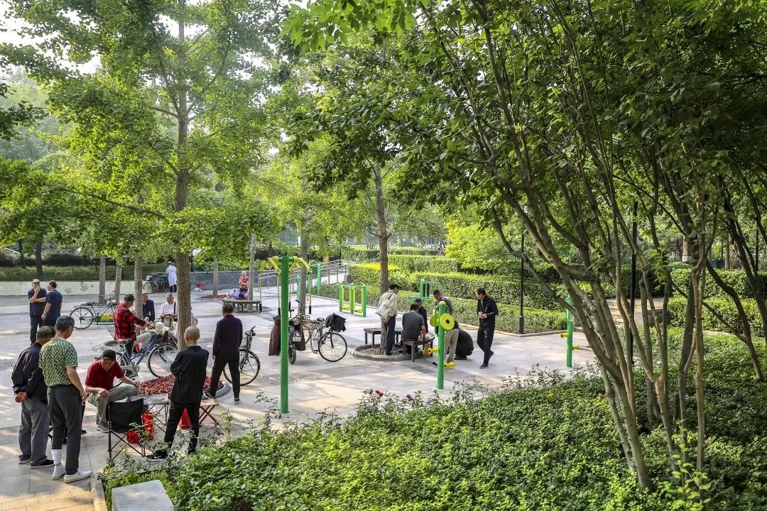 北京东单公园最新照片及概述，初夏美景尽收眼底