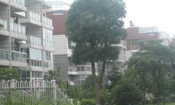 柳河中港花园最新消息揭秘，项目概述与进展