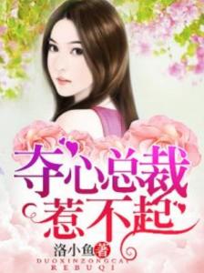 冷血总裁的浪漫之旅，心灵静谧的奇妙探险最新章节