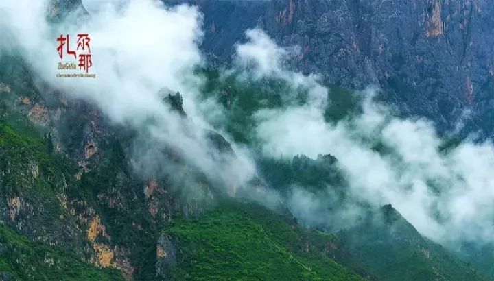 林爸爸杭州最新消息全面评测与深度解析揭秘！