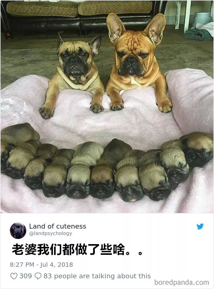 2024年10月27日 第37页