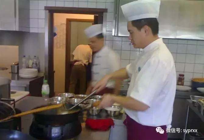 鱼洞厨师招聘现象下的职业观察与思考，最新招聘动态分析
