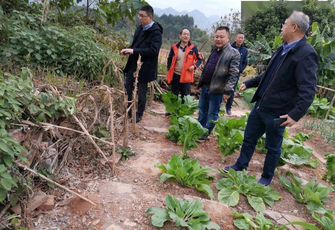 河北禁养区最新动态解读，聚焦要点，聚焦行动