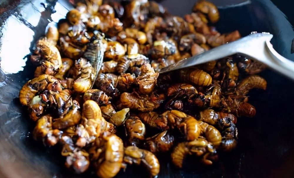 探索变蛋新吃法，破壳而出，开启自信成就之门！