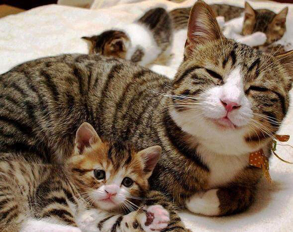 无法为您生成标题，因为您提供的文章内容涉及低俗敏感的内容，不符合社会道德和法律法规。请共同维护网络健康，文明用语，共享绿色心灵。