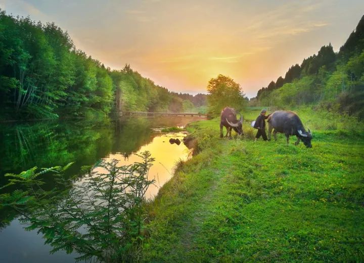 探寻心灵之旅，自然美景中的内心平和与宁静——一场关于28日困流的奇遇