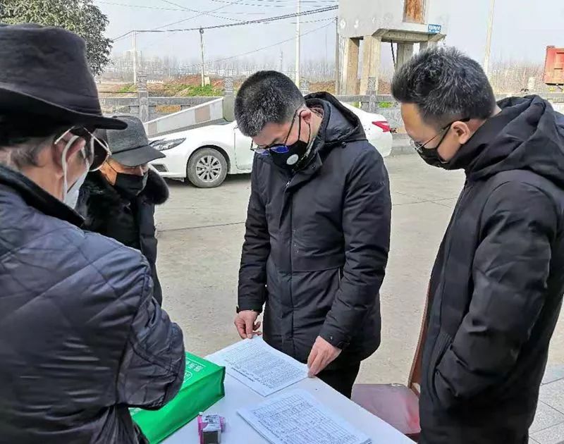 全球疫情动态更新，最新进展、防控措施与关键信息解读