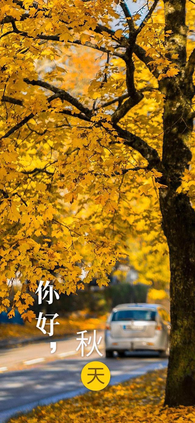 火车与秋天的浪漫邂逅，绝美风景壁纸大放送