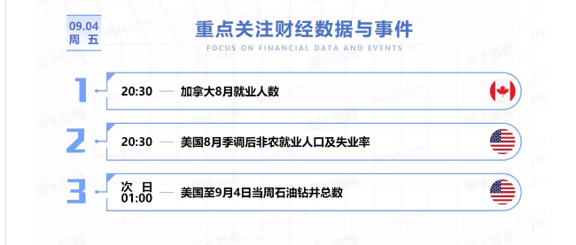 鹤壁最新消息，初学者与进阶用户操作指南一网打尽