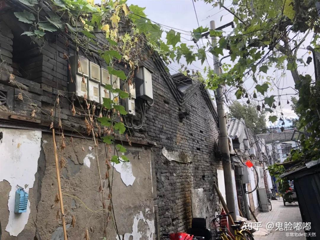 永清探秘揭秘最新消息，小巷深处的独特风味揭晓