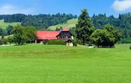 2024年10月29日 第34页