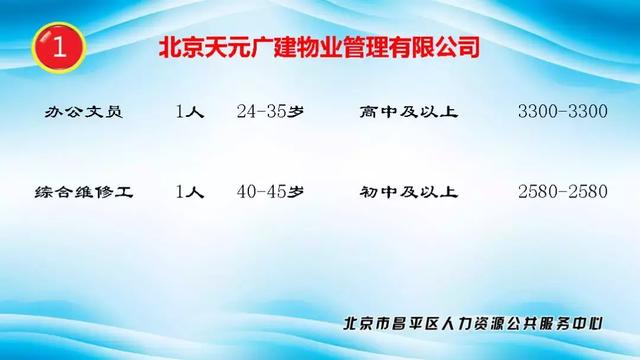 最新招聘司机信息汇总，掌握职业机遇，快速应聘攻略