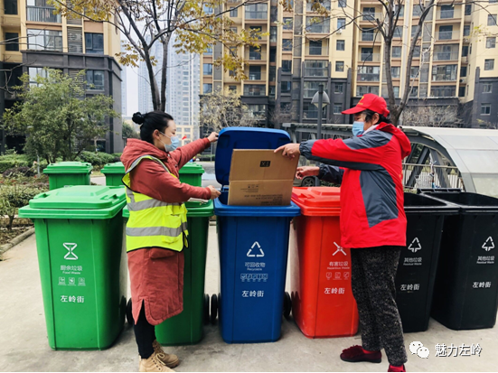 探秘绿色宝藏，垃圾分类新风尚下的独特小巷小店体验（附垃圾分类最新资讯）