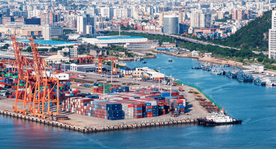 厦门疫情最新动态下的自然之旅，寻找内心的宁静与平和