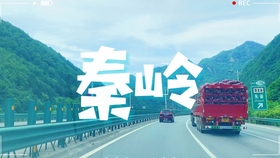 2024年10月29日 第12页