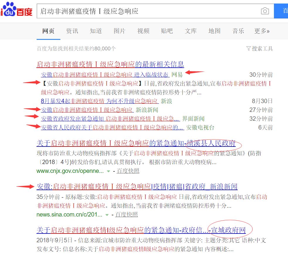 最新猪瘟疫情动态解析，应对策略与29日最新消息