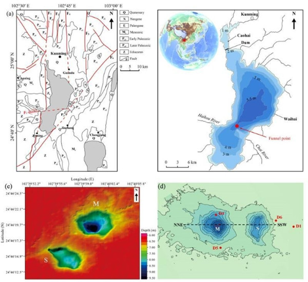 揭秘地球漏水现象，背景、重大事件与影响探究