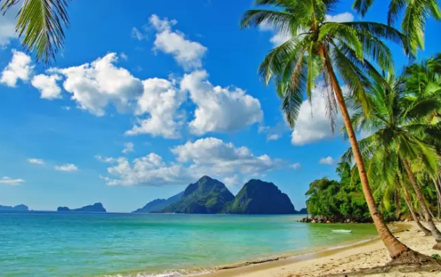 美国签证十年最新动态概述，30日更新与长期签证趋势分析