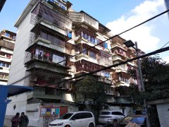 探秘巷弄深处的肺热宝藏，特色小店的新鲜纪事与最新消息揭秘