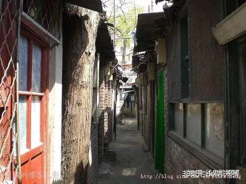 衣架背后的故事，男子打人事件背后的独特小巷风情与隐藏特色小店