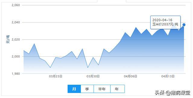 最新玉米价格走势分析与预测，30日玉米市场趋势观察