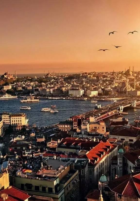 2024年10月30日 第10页