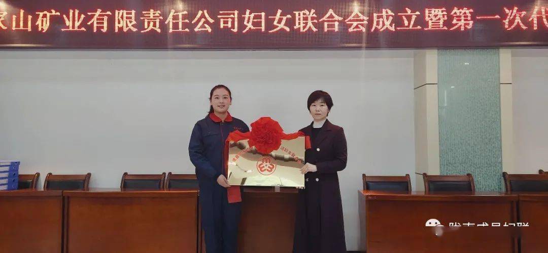 揭秘亢志刚最新动态，引领时代新篇章的启示