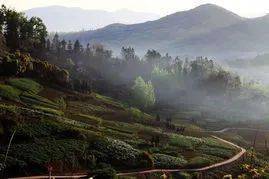 安徽禽流感最新动态下的自然美景之旅，寻找内心的宁静与平和